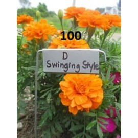 Paw Paw Everlast Label Company 100 Swinging Plant Labels, garden markers, plant markers, garden labels