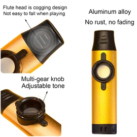 Kazoo - Professional Metal Musical Instrument with 5 Extra Membranes, Adjustable Tone for Guitar, Ukulele, Piano & Singing, Durable Brass, Portable for Adults and Students (gold)
