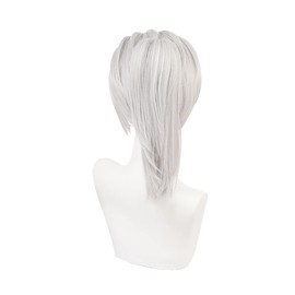 Anime Cosplay Wig Long Short Synthetic Hair for Halloween Costume Party with Free Wig Cap (Short Silver Gray)