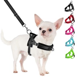 SlowTon No Pull Small Dog Harness and Leash Set, Puppy Soft Vest Harness Neck & Chest Adjustable, Reflective Lightweight Harness & Anti-Twist Pet Lead Combo for Small Medium Dogs (SA, XXS)