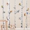 Supzone Large Birch Tree Wall Decals 5 White Tree Forest