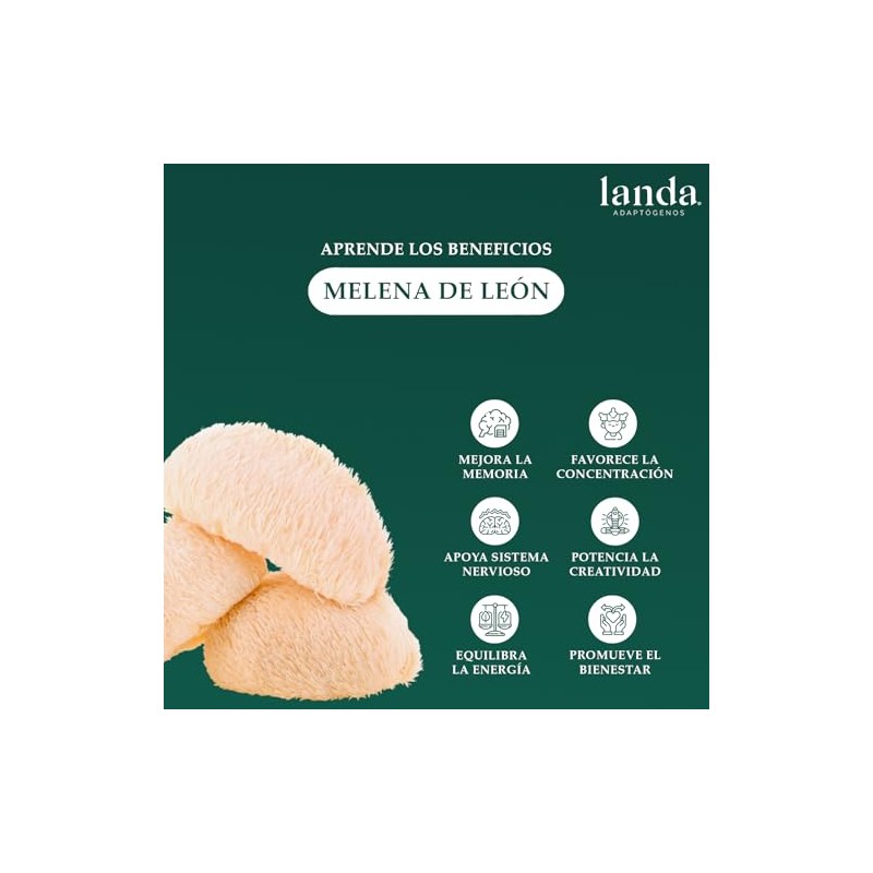 LANDA Extracto en Polvo de Melena de León Orgánico 100g