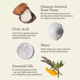 Each & Every 2-Pack Natural Aluminum-Free Deodorant for Sensitive Skin with Essential Oils, Plant-Based Packaging (2.5 Ounce (Pack of 2)) (Lavender & Lemon, Coconut & Lime)