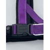 DOG & CO Norwegian Performance Harness, Large, Purple
