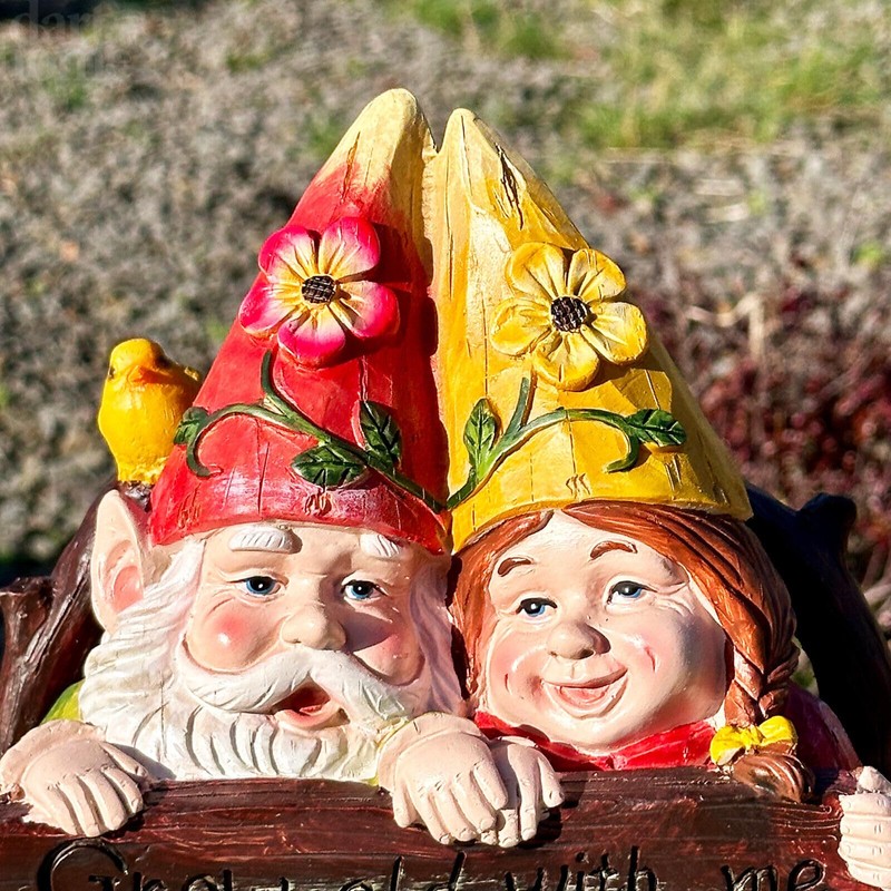 Darthome Gnome Couple Ornament 25cm Grow Old With Me Resin