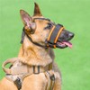 VINPAM Bully Muzzle - Secure and Comfortable Dog Muzzle for