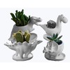 Ruoxian 4pcs Dinosaur Shaped Planter Small Succulent Pot Small Succulent Pots with Drainage, Ceramic Dinosaur Planter, Indoor Plant Container Planter with Drainage Hole Home Office Desk Garden