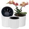 MUZHI Orchid Pot with Net and Holes, Round Self Watering