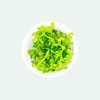 Bacopa Monnieri - Size: Bunch