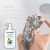 Shampoo Sin Sal Ni Sulfatos Con Ácido Salicílico | Menta