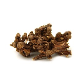 Baekjangsaeng Domestic Pogongyoung Dandelion Root Tea 200g / 백장생 국내산 포공영 민들레 뿌리 차 200g