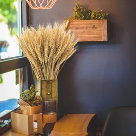 Phliofd 18 inches Natural Dried Wheat Stalks, 400 Stems Wheat Dried Flowers for Vase Home Kitchen Office Spring Flowers Arrangement Wedding Crowns Wreath Table Centerpiece Farmhouse Boho Party Décor