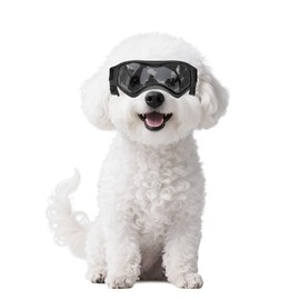 Namsan Dog Goggles Small Breeds, UV Protection Dog Glasses for Small Dogs, Puppy Sunglases Windproof Dustproof Driving Eye Protection, Adjustable, Cool Black