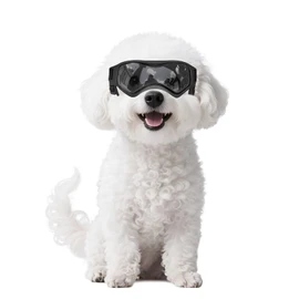 Namsan Dog Goggles Small Breeds, UV Protection Dog Glasses for Small Dogs, Puppy Sunglases Windproof Dustproof Driving Eye Protection, Adjustable, Cool Black