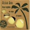 Aloha Bay Palm Wax Tea Lights with Aluminum Holder Cream