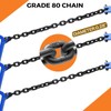 AIindu 55 Gallon Drum Lift -Chain Drum Lifter- 2200 lb