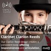 Musiq Maker's Clarion Clarinet Reeds - Bb Clarinet Reeds 3