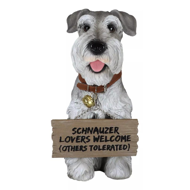 Adorable Grey Schnauzer Dog Sitting With Jingle Collar Greetings Sign