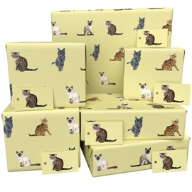 Luxury ECO Gift Wrap - 6 sheets/tags - Cat Breeds and Wellington Beige - Birthday - Recycled & Recyclable Wrapping Paper - Re-wrapped