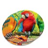 Colorful Tropical Rainforest Parrots Novelty Coaster Set