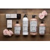 Archipelago Charcoal Rose Lotion, 18 fl. oz.