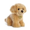 Aurora - Miyoni - 11" Golden Retriever Pup, Tan
