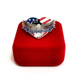 USA Veterans Day Lapel Pin Badge Brooch With Box Memorial Day Military Patriotic Decorations Gifts Memorabilia