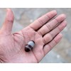 KLEO Espranade Narmada Stone Narmadeshwar, Shiva Lingha | Shiva Lingham