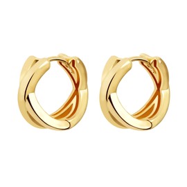 Small Chunky Gold Hoop Earrings For Women, 14k Gold Thick statement huggie hoop earrings Trendy Hoop Earrings Set Hypoallergenic Fashion Earrings (X-Gold 4)