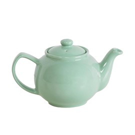 Pastel Mint Green 2 Cup Stoneware Teapot 450ml Eclectic Cafe Afternoon Tea Coffee Pot