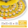 Quail Egg Incubator for Hatching 40 Quail Eggs with Automatic