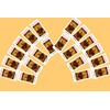 20Pack Surrender Novena