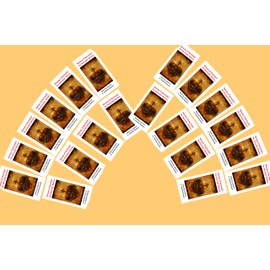 20Pack Surrender Novena