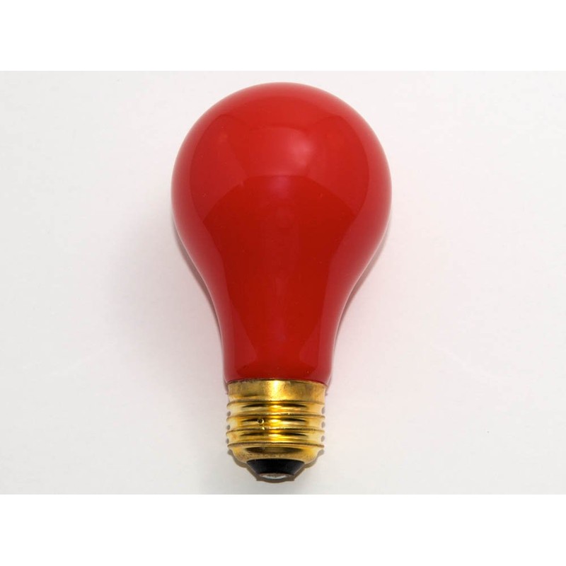 Bulbrite Incandescent A19 Medium Screw Base (E26) Light Bulb, 25