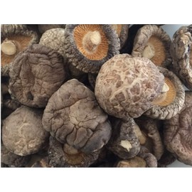 GROWN ORGANICALLY PREMIUM ORGANIC DRIED SHIITAKE CHINESE MUSHROOM SIZE 5-6 cm, 1 LB (16OZ),GRADE AA++