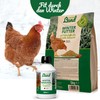 HÜHNER Land Winter Bronchi Liquid 20 ml for Chickens I