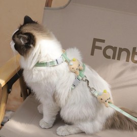 Cat Harness and Leash Set for Safe Walking, Escape Proof Adjustable Cat Harness, Lightweight Soft Travel Kitten Harness for Small Medium Large Cats(Green Rabbit-S)