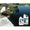 Aquashade Blue Pond Dye - 1 Gallon EPA-Approved Sunlight Blocker