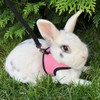 PETTOM Bunny Rabbit Guinea Pig Harness Stretchy Elastic Leash Cute