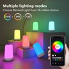 Benedi Night Light Seven Color dimmable Design Touch Control Table