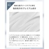 LUTY Rooty Treatment, Beauty Salon Exclusive Product, Rinse Damage Care,