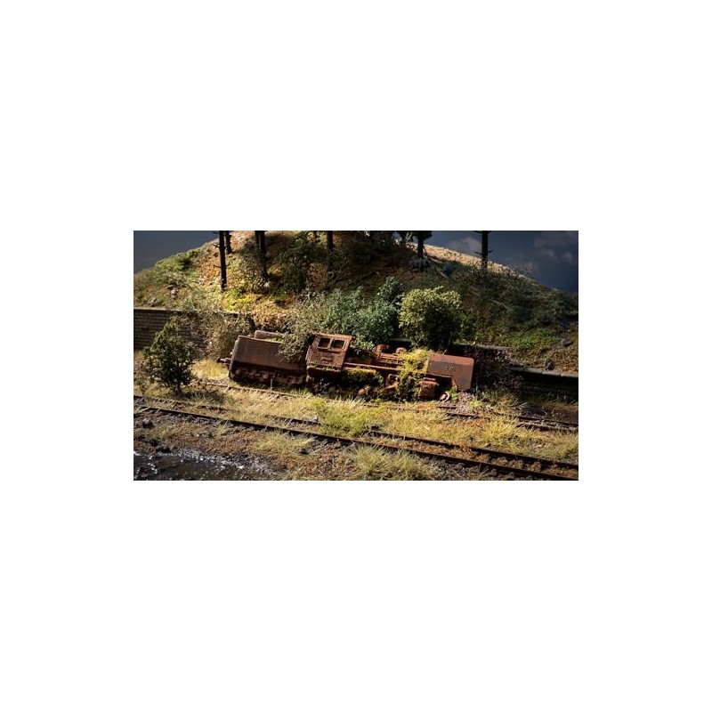 NOCH® Forgotten Place "Locomotive", Hand Coloured, 24 x 10.1 x