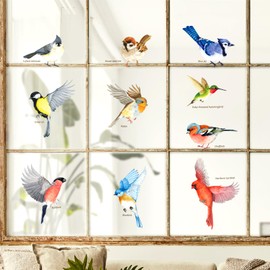 DECOWALL CDS2-9001 10 Beautiful Garden Birds Static Cling Window Stickers Reuseble for Prevent Glass Clings Flying Anti Collision Bird Strike Window Decals - Double Sided Print