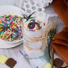 Rainbow Sprinkles Edible Dot Sprinkles, 11.3oz/320g Ice Cream Sprinkles with