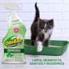 OdoBan CLEAN CONTROL CORPORATION - Odoban 32OZEuca Cleaner