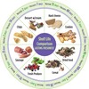 Lasting Freshness 10 pc SAVE IT | Vacuum Sealed Food
