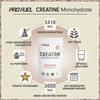Creatine Monohydrate Powder 500 g + Shieldmixer® Protein Shaker Made