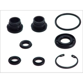 Autofren Seinsa D1743 Brake Master Cylinder Repair Kit