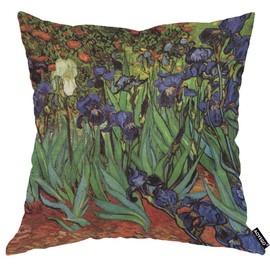 AOYEGO Van Gogh Irises in The Garden Throw Pillow Cover Oil Painting Grass Floral Bouquet Bud Botanical Plant Beautiful Pillow Case 18x18 Inch Decorative Men Women Room Cushion Cover for Home