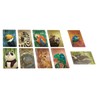 Set of Similo Animals + Wild Animals French Version +